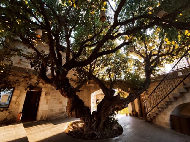 Delüks Çift Kişilik Oda