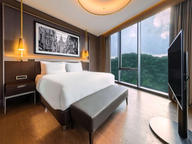 Junior Suite, City View with Lounge Access