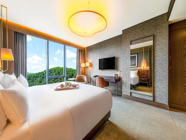 Room (Collection, Forest View)