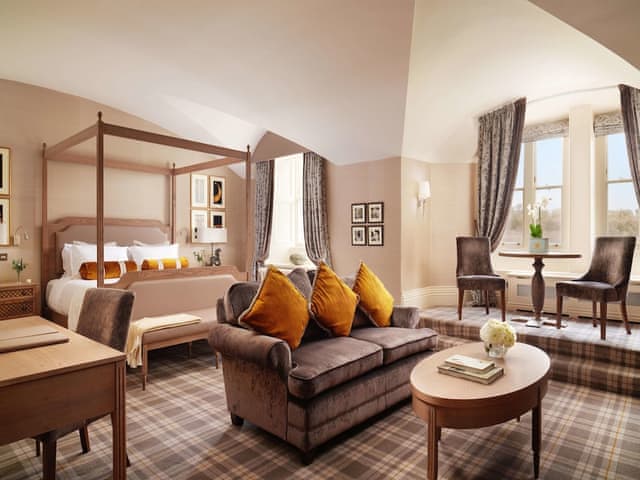 Room, 1 King Bed (Stateroom)