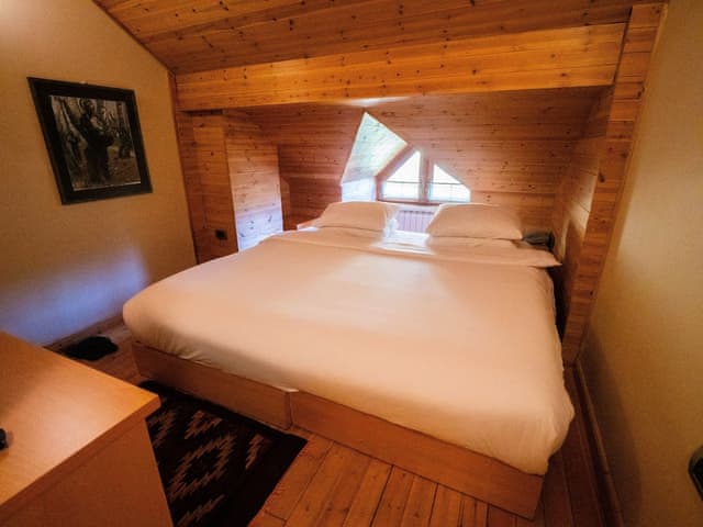 Classic Twin Room, 1 King Bed