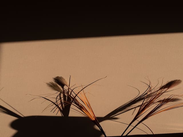 Deluxe Room, 2 Twin Beds, Park View