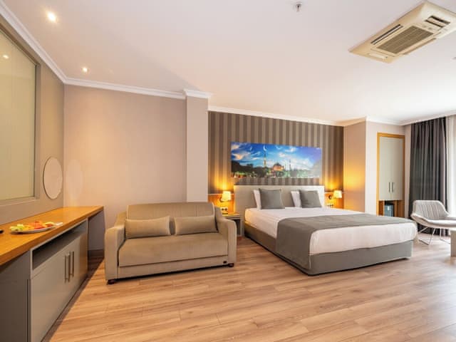 Executive Room, 1 King Bed