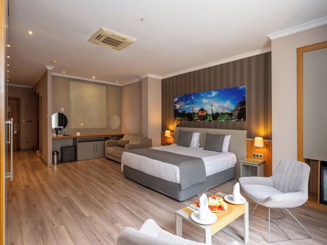 Executive Room, 1 King Bed