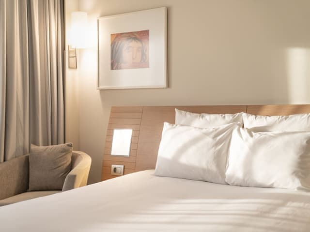 Superior Room, 1 Queen Bed with Sofa bed