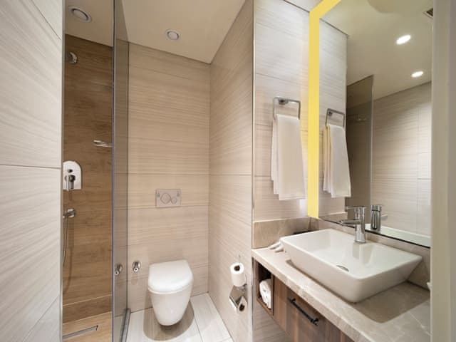 SUPERIOR TWIN / FRENCH