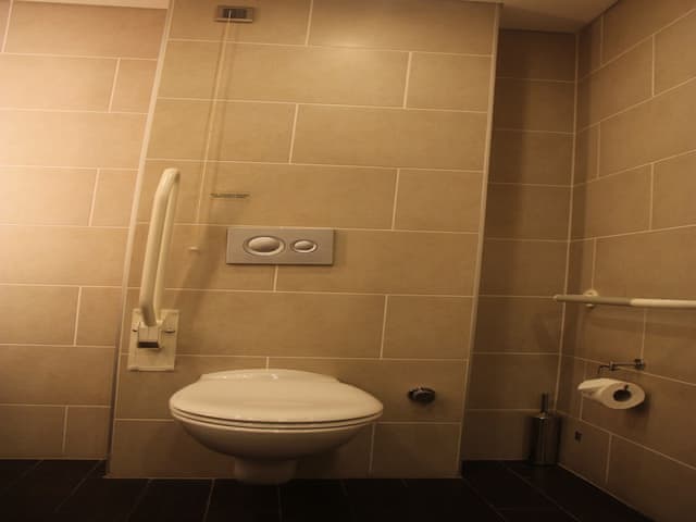 Queen Accesible Room