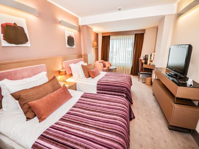 Deluxe Çift Kişilik veya İki Tek Kişilik Yataklı Oda