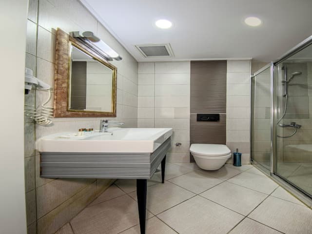 Classic Double Room, 1 King Bed