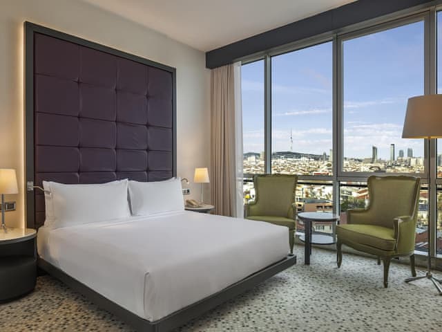 Room, 1 King Bed