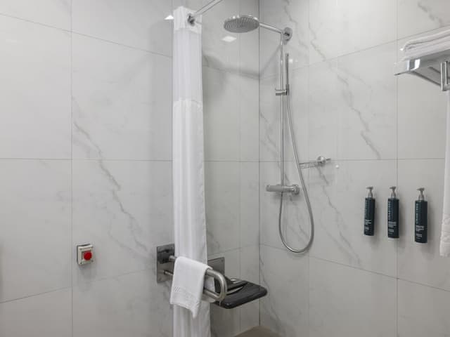 Room, 1 King Bed, Accessible