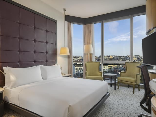Room, 1 King Bed