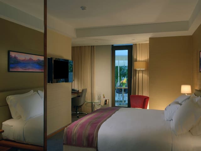 Room, 1 King Bed, Terrace