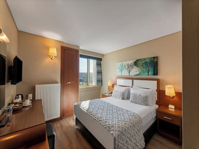 Double or Twin Room Sea View