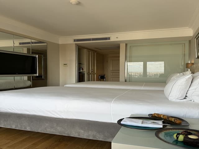 Superior Double or Twin Room, City View