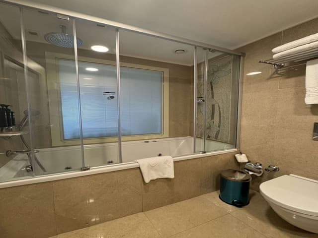 Deluxe Double or Twin Room, City View