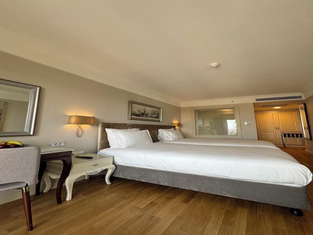 Deluxe Double or Twin Room, City View