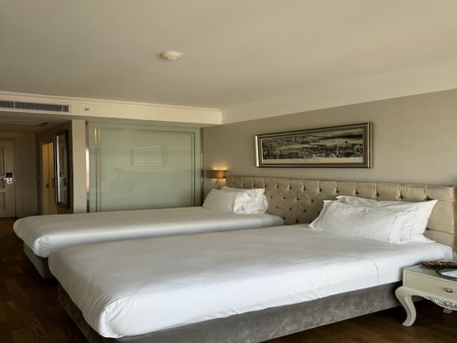 Standart Çift Kişilik veya Twin Oda