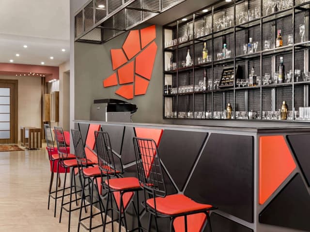 Deluxe Room, 1 King Bed, Mobility Accessible, Non Smoking (Hearing Accessible, Roll-in Shower)