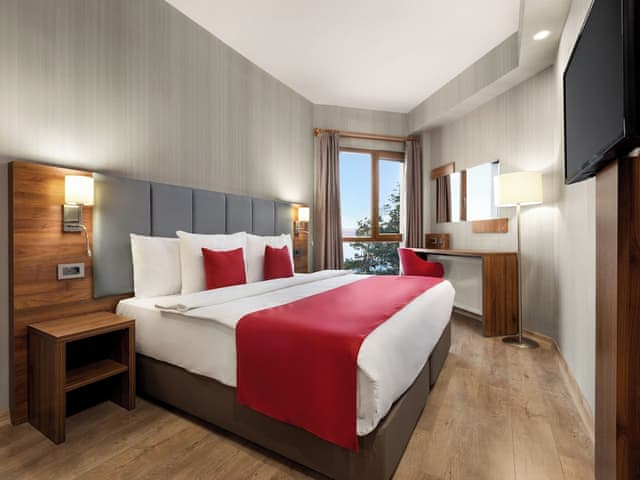 Deluxe Room, 1 King Bed, Mobility Accessible, Non Smoking (Hearing Accessible, Roll-in Shower)