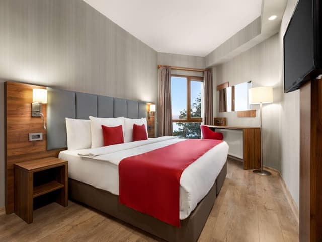 Deluxe Room, 1 King Bed, Mobility Accessible, Non Smoking (Hearing Accessible, Roll-in Shower)