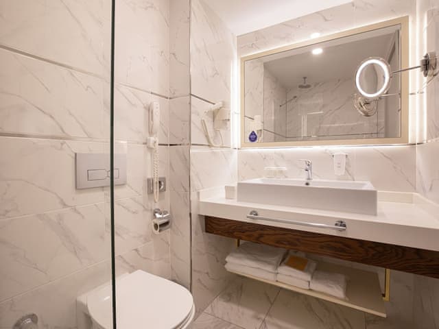 Superior Şehir Manzaralı Queen Yataklı Oda