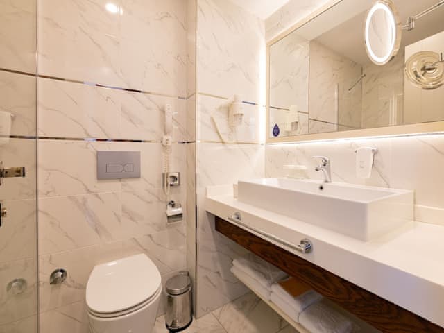 Superior Şehir Manzaralı Queen Yataklı Oda