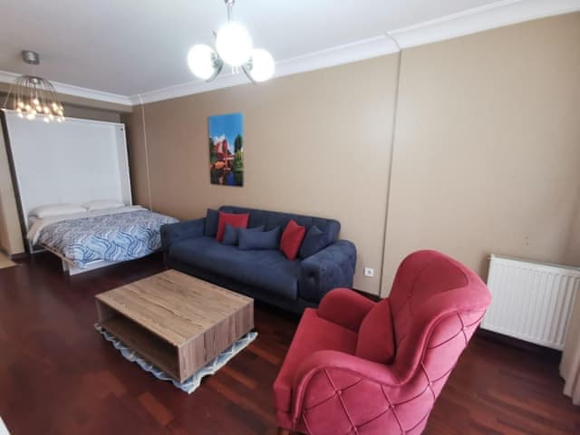 Economy Apartment