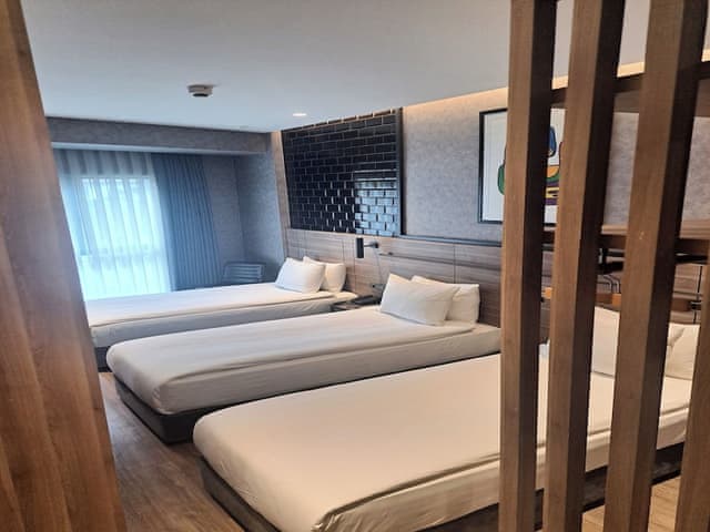 Delüks Üç Kişilik Oda