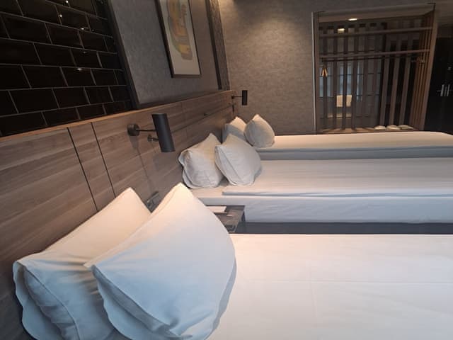 Delüks Üç Kişilik Oda