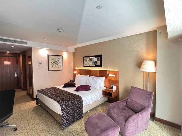 Standart Oda, 1 King Yatak