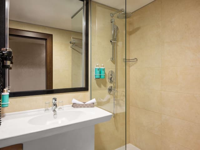 Superior Çift Kişilik Oda, 1 King Yataklı