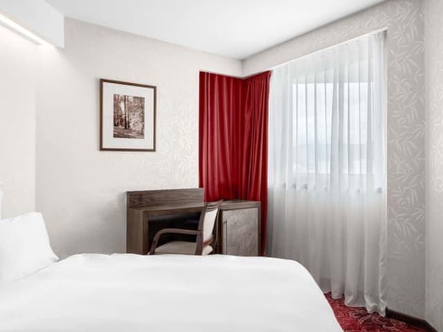 Superior Çift Kişilik Oda, 1 King Yataklı