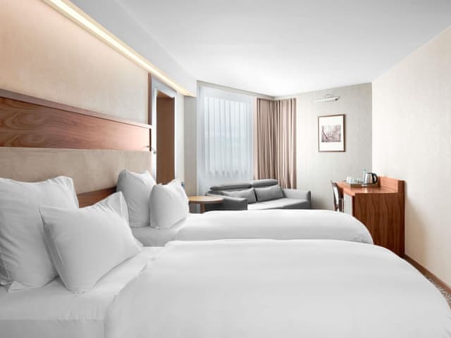 Deluxe Twin Room (King size or twin beds and extra sofa)