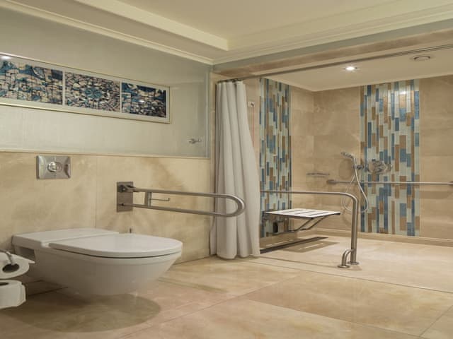 Room, 1 King Bed, Accessible