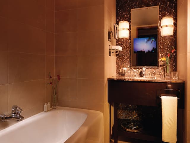 Deluxe Twin Room (Twin)