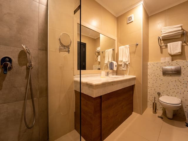 Superior Room (Large)