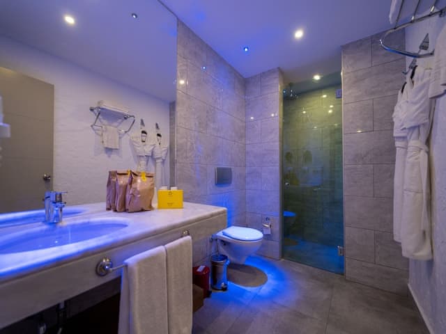 Junior Suite (Main Building)