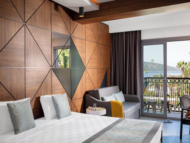 Superior Room (Large)