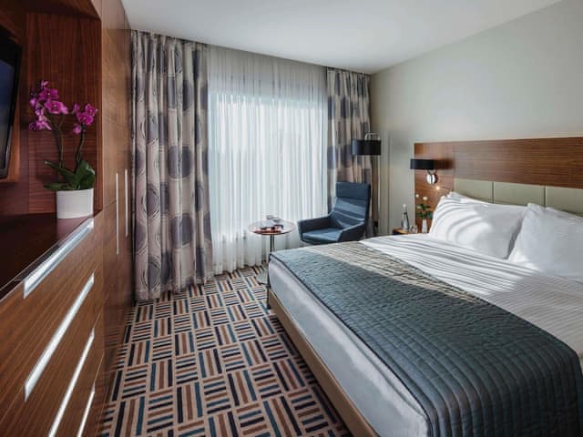 Deluxe Suite, 1 King Bed