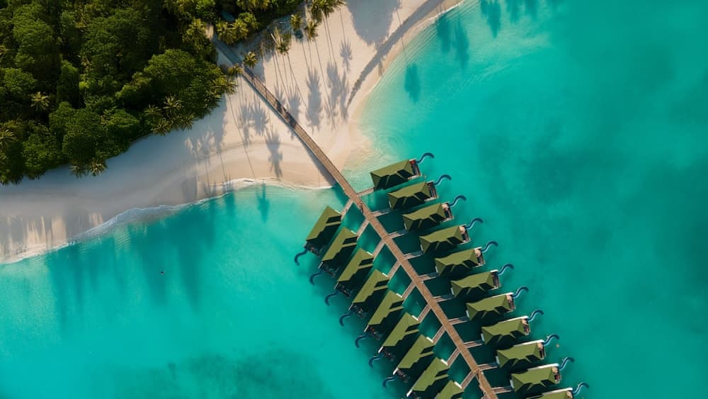 Siyam World Maldives - 24-Hour Premium All-inclusive with Free Transfer