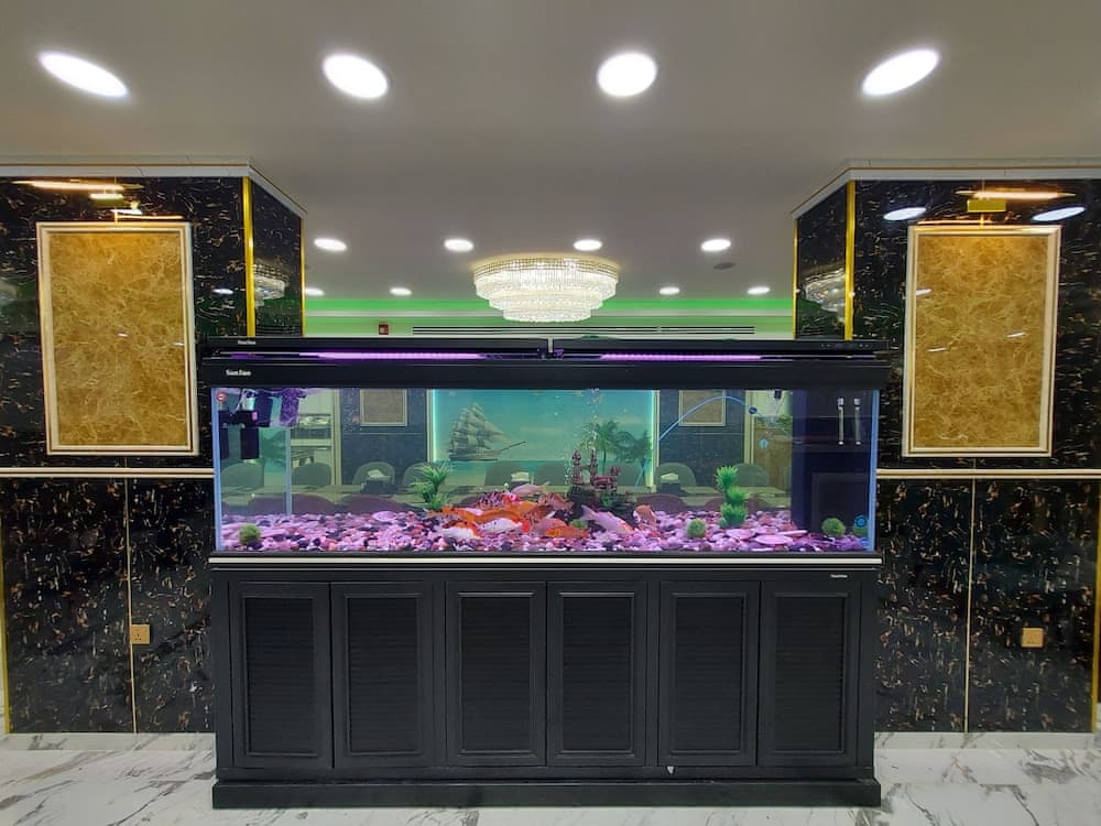 Jordan Seasons Hotel