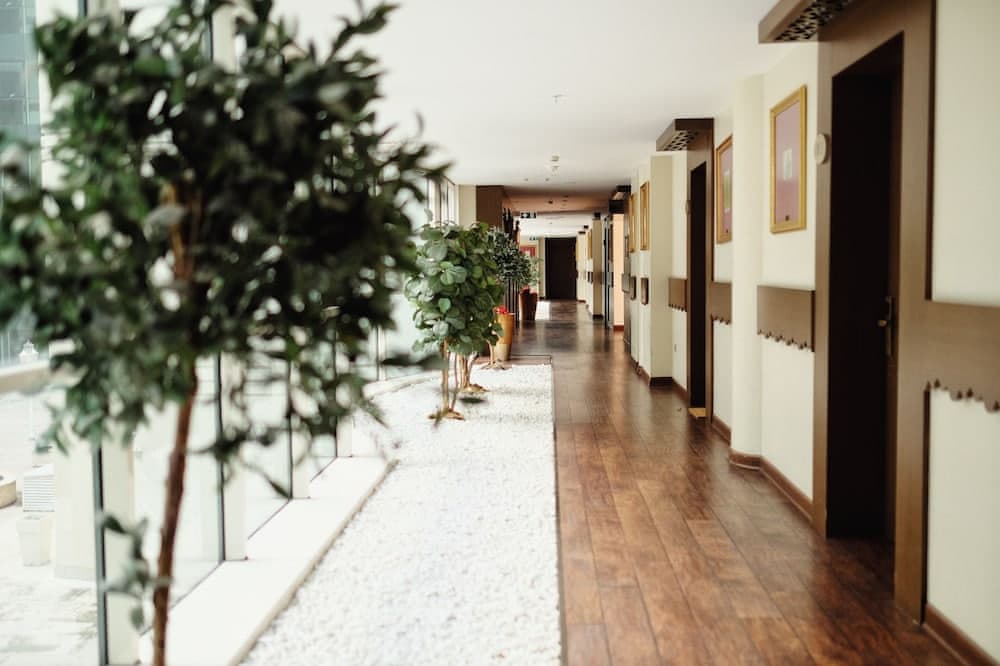 Sabiha Gokcen Istanbul Houses