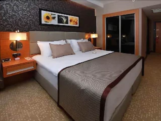 Superior Room, 1 King Bed, Smoking