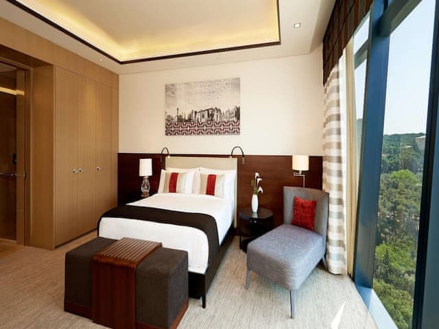 Deluxe Room, 1 Double Bed, City View