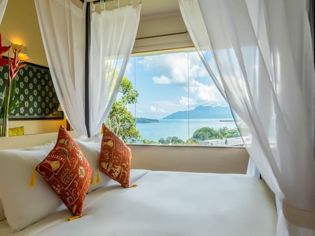 Canopy Suite