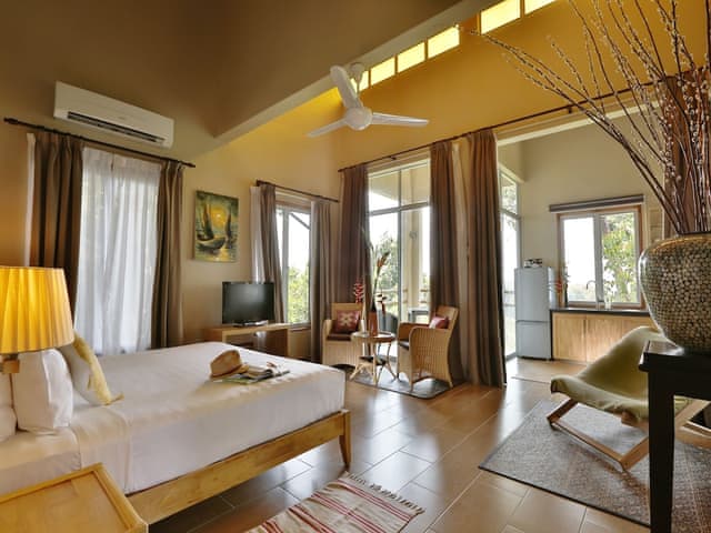 Canopy Studio