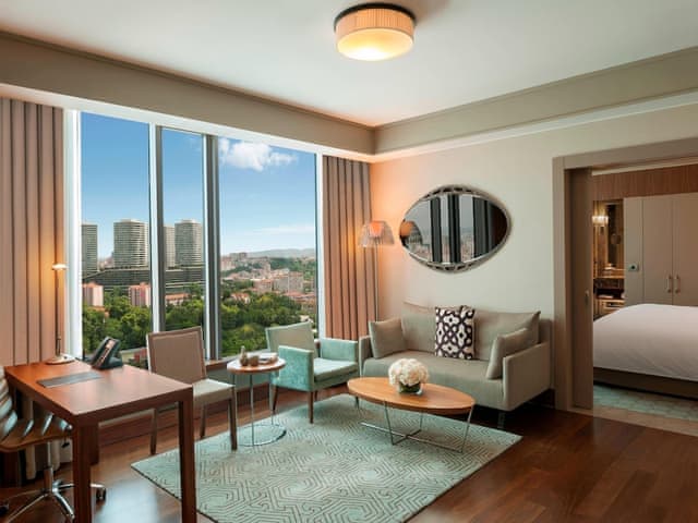 Junior Süit, 1 King Yatak, Şehir Manzaralı