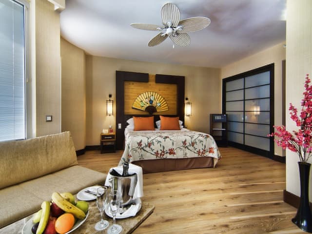 Junior Double Room, 1 King Bed