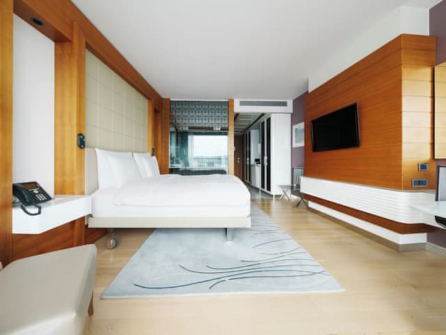 Deluxe Room, 1 King Bed (Boshporus View)